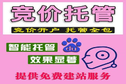 某电商平台搜索开户返点实施方案